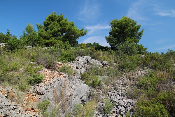 C19872 26-07-2014 uvala Piškera.jpg